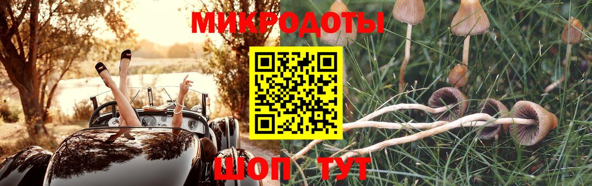 Галлюциногенные грибы Cubensis  Вход с VPN  Пугачёв  Псилоцибиновые грибы MAGIC MUSHROOMS 